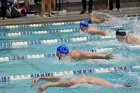 Swimming & Diving vs RWU  Swimming & Diving vs Roger Williams University. - Photo by Keith Nordstrom : Wheaton, Swimming
